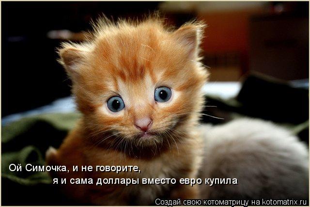 Ой Симочка, и не говорите, я и сама доллары вместо евро купила... Котоматрица: Ой Симочка, и не говорите, я и сама доллары вместо евро купила