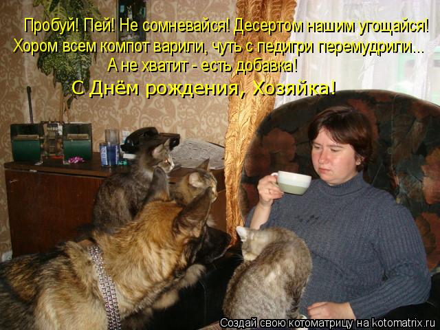Пробуй! Пей! Не сомневайся! Десертом нашим угощайся! Хором всем компот варили, чуть с педигри перемуд... Котоматрица: Пробуй! Пей! Не сомневайся! Десертом нашим угощайся! Хором всем компот варили, чуть с педигри перемудрили... А не хватит - есть добавка! С Днём
