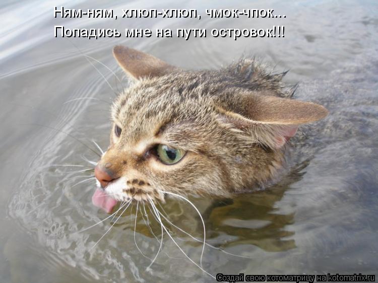 Ням-ням, хлюп-хлюп, чмок-чпок... Попадись мне на пути островок!!!... Котоматрица: Ням-ням, хлюп-хлюп, чмок-чпок... Попадись мне на пути островок!!!