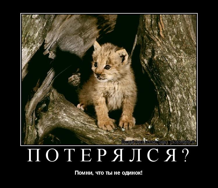 ПОТЕРЯЛСЯ? Помни, что ты не одинок!... Котоматрица: ПОТЕРЯЛСЯ? Помни, что ты не одинок!