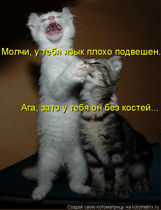 Котоматрица: Молчи, у тебя язык плохо подвешен. Ага, зато у тебя он без костей...