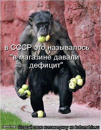 "в магазине давали дефицит" в СССР это называлось... Котоматрица: "в магазине давали дефицит" в СССР это называлось