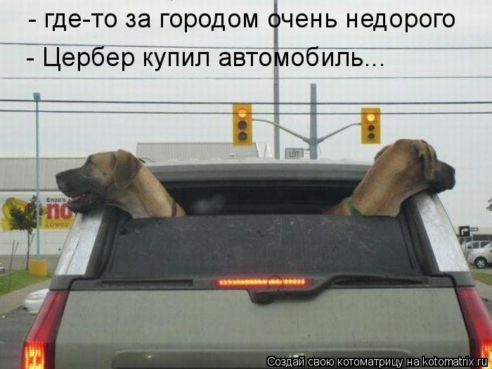 - где-то за городом очень недорого - Цербер купил автомобиль...... Котоматрица: - где-то за городом очень недорого - Цербер купил автомобиль...