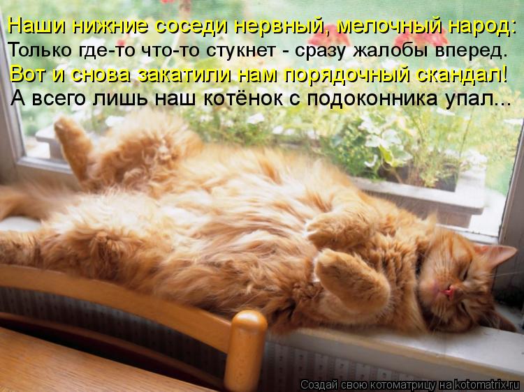 Наши нижние соседи нервный, мелочный народ: Только где-то что-то стукнет - сразу жалобы вперед. Вот ... Котоматрица: Наши нижние соседи нервный, мелочный народ: Только где-то что-то стукнет - сразу жалобы вперед. Вот и снова закатили нам порядочный скандал!