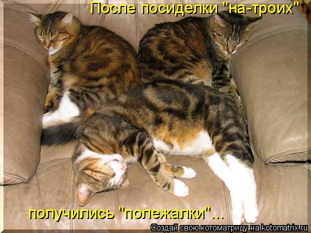 Котоматрица: После посиделки "на-троих" получились "полежалки"...