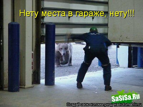 Нету места в гараже, нету!!!... Котоматрица: Нету места в гараже, нету!!!