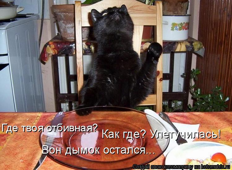 Котоматрица: Где твоя отбивная?  Как где? Улетучилась! Вон дымок остался...