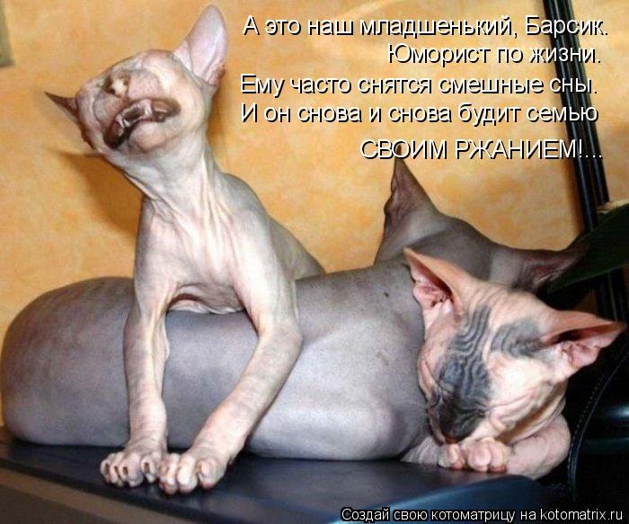 А это наш младшенький, Барсик. Юморист по жизни. Ему часто снятся смешные сны. И он снова и снова буд... Котоматрица: А это наш младшенький, Барсик. Юморист по жизни. Ему часто снятся смешные сны. И он снова и снова будит семью СВОИМ РЖАНИЕМ!...
