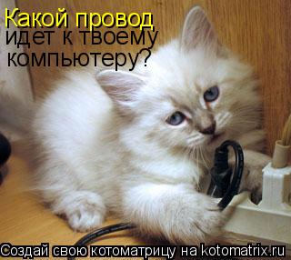 Котоматрица: Какой провод идет к твоему компьютеру?