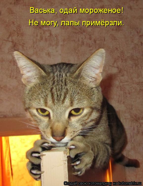 Котоматрица: Васька, одай мороженое!  Не могу, лапы примёрзли.