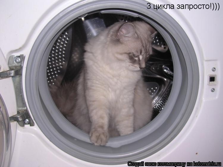 Котоматрица: 3 цикла запросто!)))
