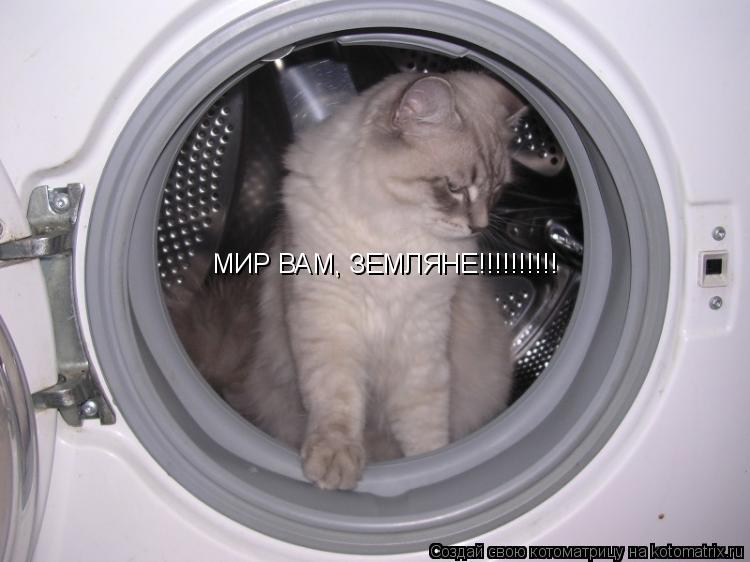 Котоматрица: МИР ВАМ, ЗЕМЛЯНЕ!!!!!!!!!!