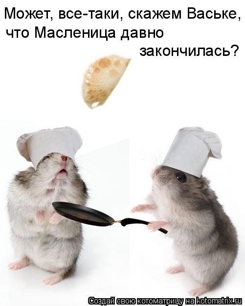 Котоматрица: Может, все-таки, скажем Ваське, что Масленица давно  закончилась?