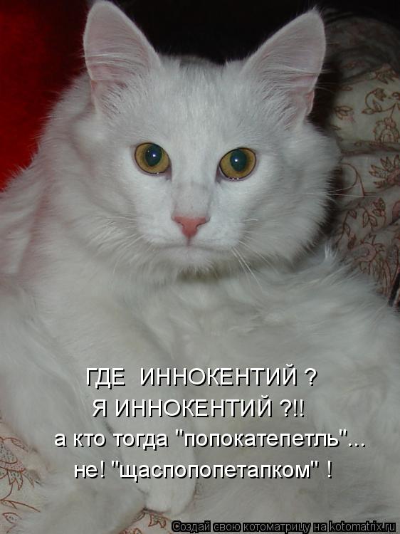 Котоматрица: ГДЕ  ИННОКЕНТИЙ ? Я ИННОКЕНТИЙ ?!! а кто тогда "попокатепетль"... не! "щаспопопетапком" !