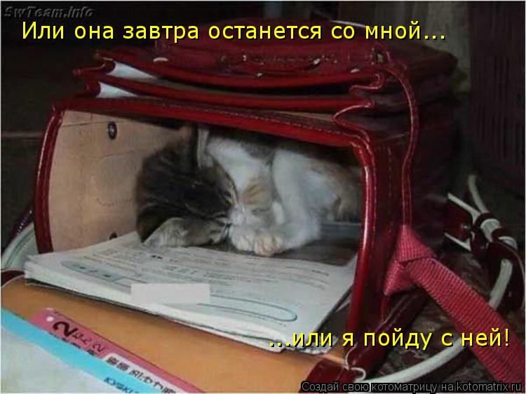 Котоматрица: Или она завтра останется со мной... ...или я пойду с ней!