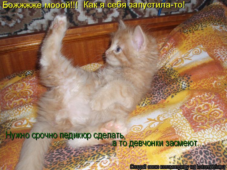 Котоматрица: Божжжже мооой!!! Как я себя запустила-то! Нужно срочно педикюр сделать,  а то девчонки засмеют...