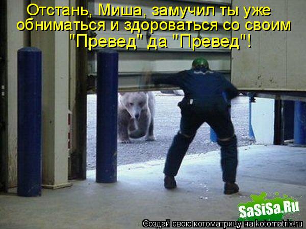 Котоматрица: Отстань, Миша, замучил ты уже  обниматься и здороваться со своим "Превед" да "Превед"!