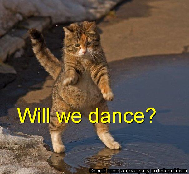 Котоматрица: Will we dance?