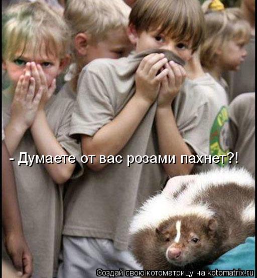 Котоматрица: - Думаете от вас розами пахнет?!