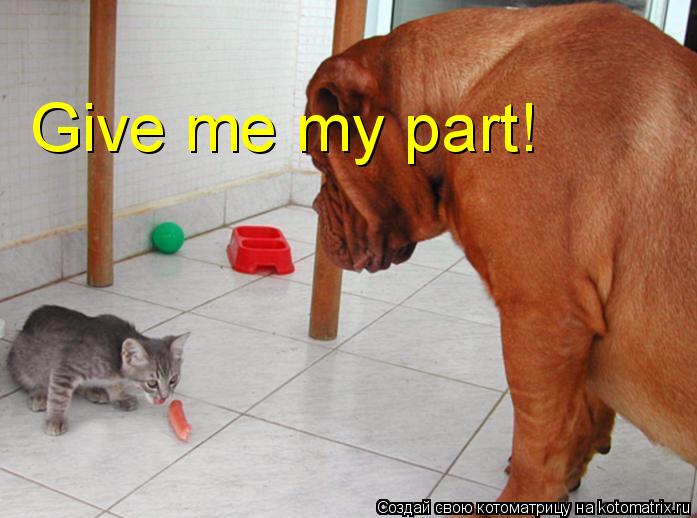 Котоматрица: Give me my part!