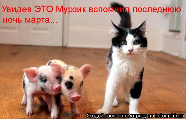 Увидев ЭТО Мурзик вспомнил последнюю ночь марта...... Котоматрица: Увидев ЭТО Мурзик вспомнил последнюю ночь марта...
