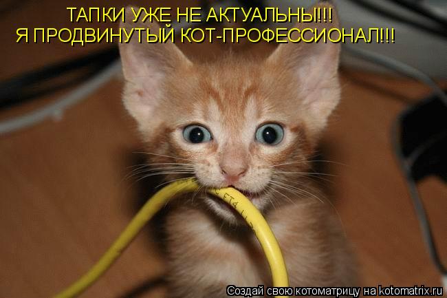Котоматрица: ТАПКИ УЖЕ НЕ АКТУАЛЬНЫ!!! Я ПРОДВИНУТЫЙ КОТ-ПРОФЕССИОНАЛ!!!