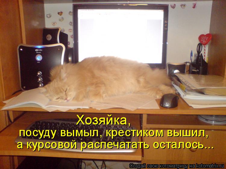 Котоматрица: Хозяйка, посуду вымыл, крестиком вышил, а курсовой распечатать осталось...