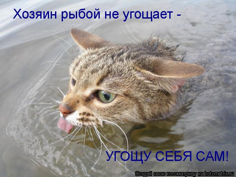 Котоматрица: Хозяин рыбой не угощает -  УГОЩУ СЕБЯ САМ!