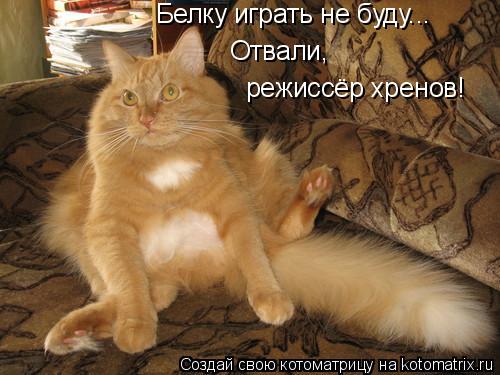 Котоматрица: Белку играть не буду... Отвали, режиссёр хренов!