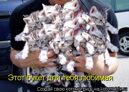 Котоматрица: Этот букет для тебя,любимая