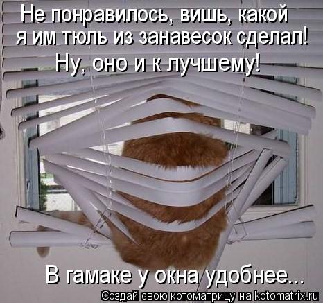 Котоматрица: Не понравилось, вишь, какой я им тюль из занавесок сделал! Ну, оно и к лучшему! В гамаке у окна удобнее...