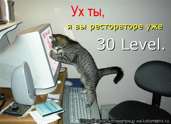 Котоматрица: Ух ты, я вы рестораторе уже 30 Level.