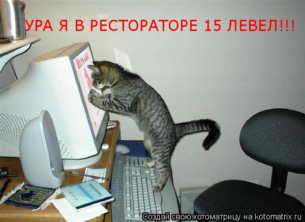 Котоматрица: УРА Я В РЕСТОРАТОРЕ 15 ЛЕВЕЛ!!!