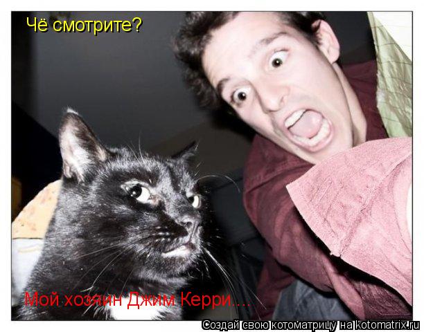 Котоматрица: Чё смотрите? Мой хозяин Джим Керри....