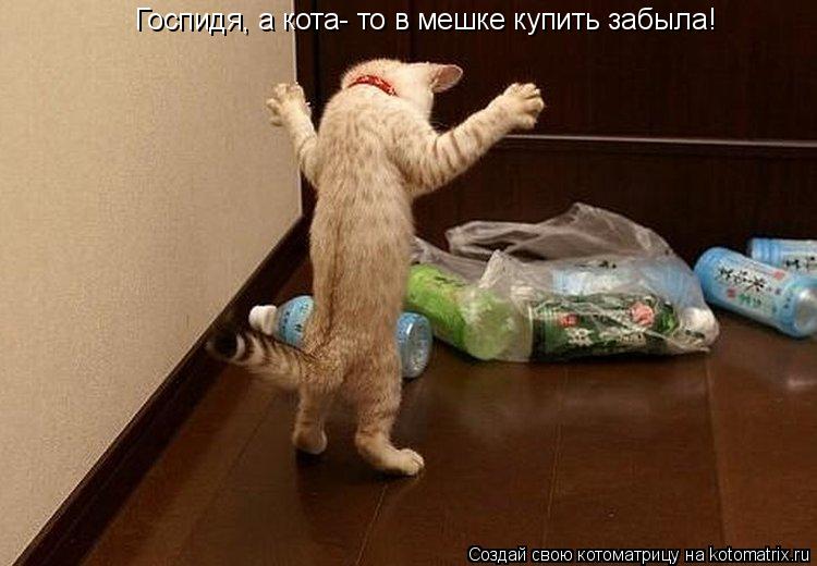 Госпидя, а кота- то в мешке купить забыла!... Котоматрица: Госпидя, а кота- то в мешке купить забыла!