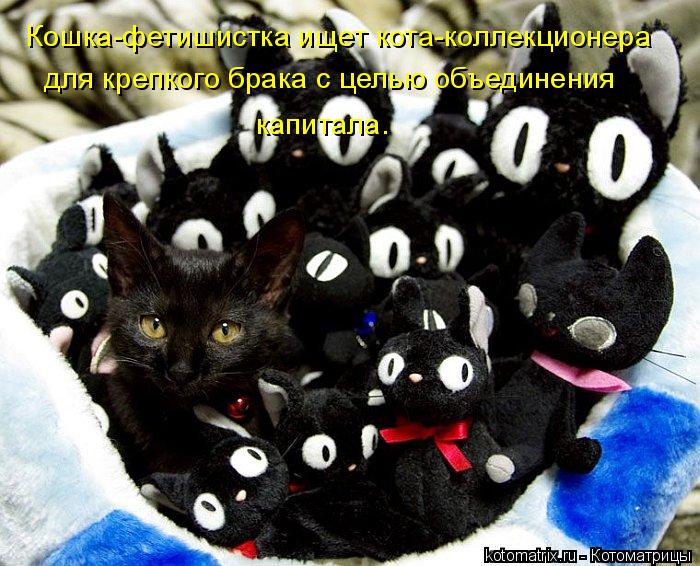 Котоматрица: Кошка-фетишистка ищет кота-коллекционера  для крепкого брака с целью объединения  капитала.