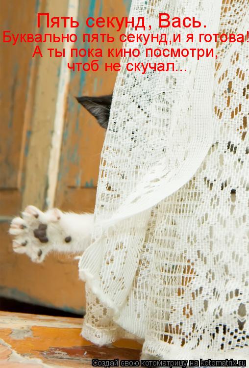 Котоматрица: Пять секунд, Вась.  Буквально пять секунд,и я готова!  А ты пока кино посмотри,  чтоб не скучал...