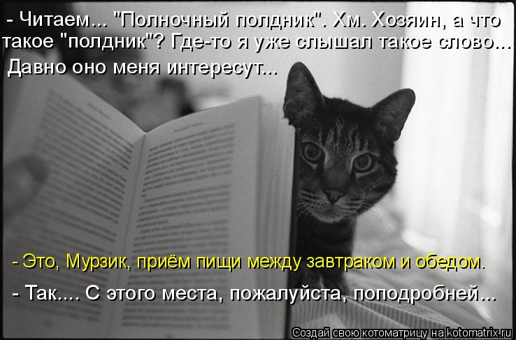 Котоматрица: - Это, Мурзик, приём пищи между завтраком и обедом. - Так.... С этого места, пожалуйста, поподробней... - Читаем... "Полночный полдник". Хм. Хозяин, а