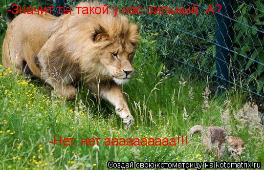 Котоматрица: -Значит ты такой у нас сильный. А? -Нет, нет аааааааааа!!!