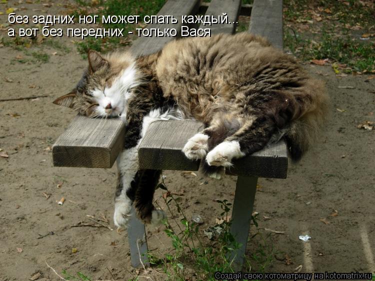 без задних ног может спать каждый... а вот без передних - только Вася... Котоматрица: без задних ног может спать каждый... а вот без передних - только Вася