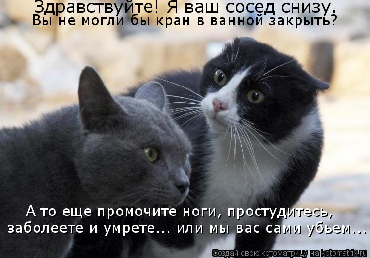 Котоматрица: Здравствуйте! Я ваш сосед снизу. Вы не могли бы кран в ванной закрыть?  А то еще промочите ноги, простудитесь,   заболеете и умрете... или мы вас