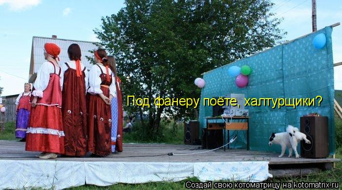 Котоматрица: Под фанеру поёте, халтурщики?