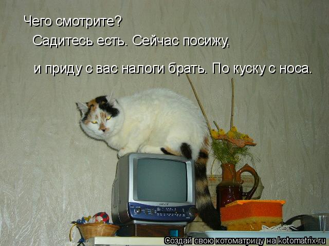 Котоматрица: Чего смотрите? Садитесь есть. Сейчас посижу, и приду с вас налоги брать. По куску с носа.