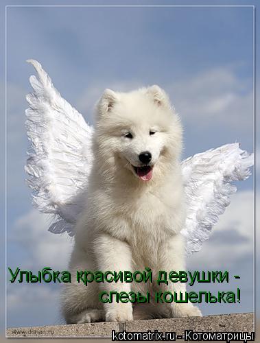 Котоматрица: Улыбка красивой девушки -  слезы кошелька!