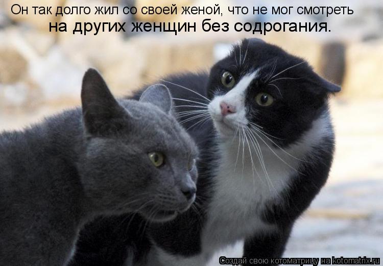 Котоматрица: Он так долго жил со своей женой, что не мог смотреть  на других женщин без содрогания.