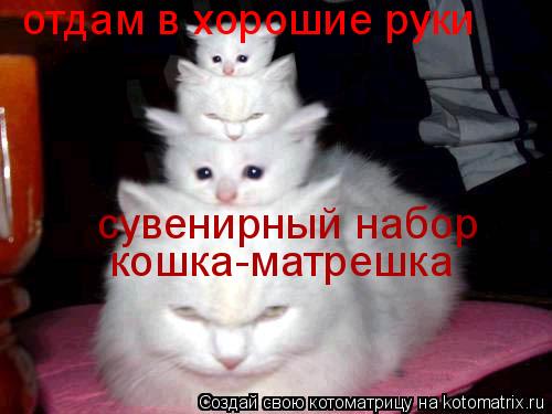 Котоматрица: кошка-матрешка сувенирный набор отдам в хорошие руки