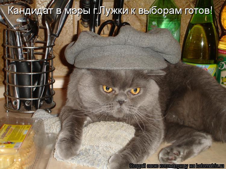 Кандидат в мэры г.Лужки к выборам готов!... Котоматрица: Кандидат в мэры г.Лужки к выборам готов!
