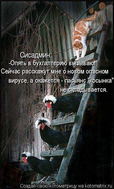 Котоматрица: Сисадмин: -Опять в бухгалтерию вызывают! Сейчас расскажут мне о новом опасном вирусе, а окажется - пасьянс "косынка" не складывается.