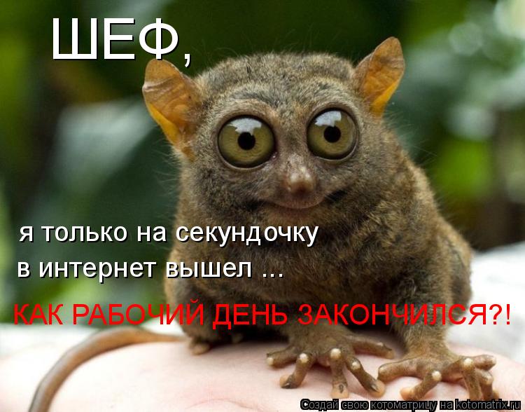Котоматрица: ШЕФ, КАК РАБОЧИЙ ДЕНЬ ЗАКОНЧИЛСЯ?! в интернет вышел ... я только на секундочку