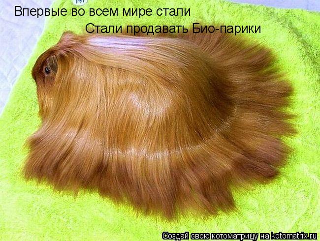 Котоматрица: Впервые во всем мире стали Стали продавать Био-парики